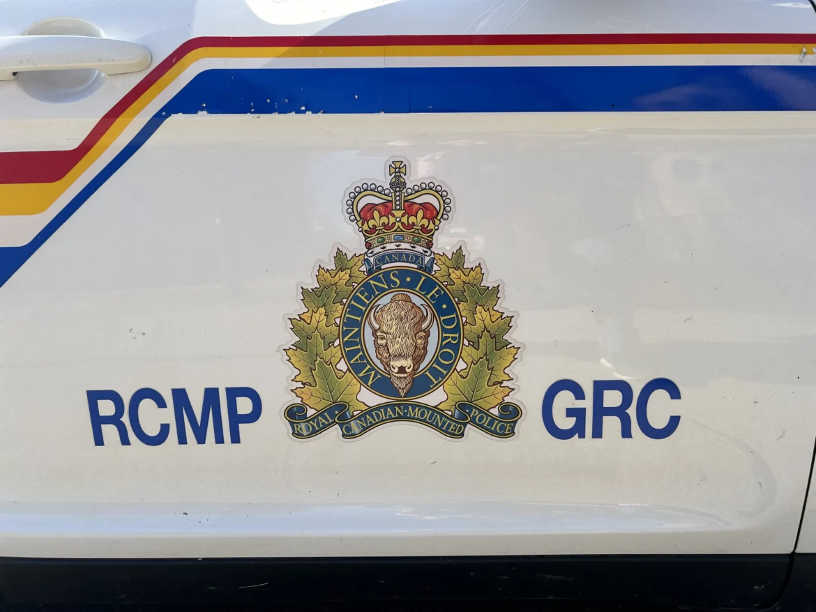 RCMP want details on snowmobile crash in Cumberland County